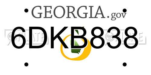 6DKB838 Georgia License Plate