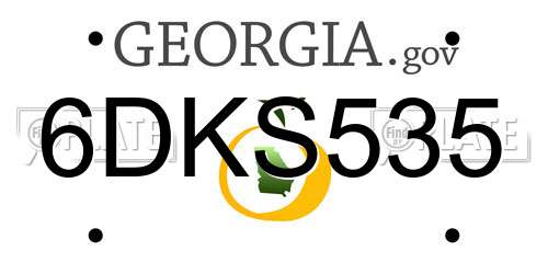 6DKS535 Georgia License Plate