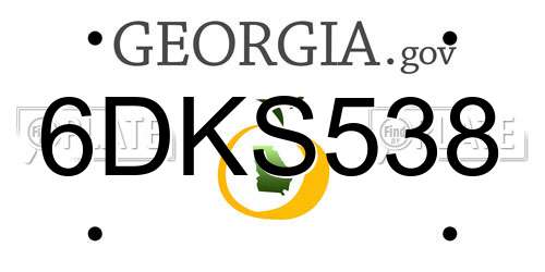 6DKS538 Georgia License Plate