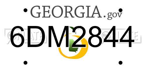 6DM2844 Georgia License Plate