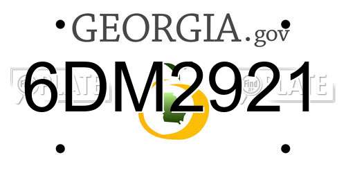 6DM2921 Georgia License Plate
