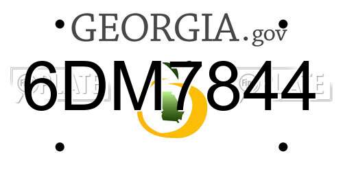 6DM7844 Georgia License Plate