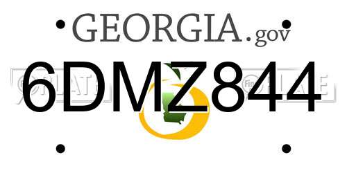 6DMZ844 Georgia License Plate