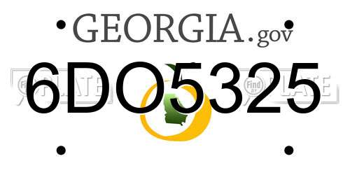 6DO5325 Georgia License Plate