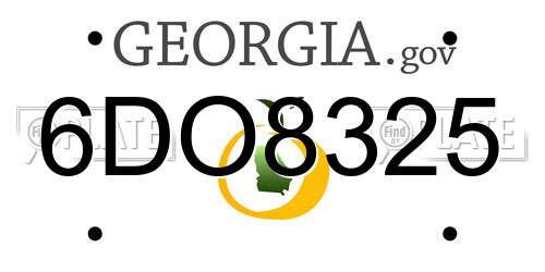 6DO8325 Georgia License Plate