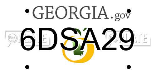 6DSA29 Georgia License Plate