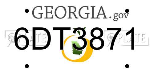 6DT3871 Georgia License Plate