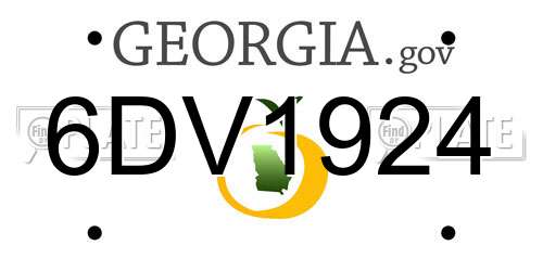 6DV1924 Georgia License Plate