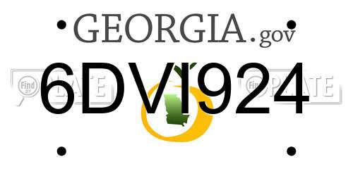 6DVI924 Georgia License Plate