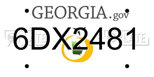 6DX2481 Georgia License Plate
