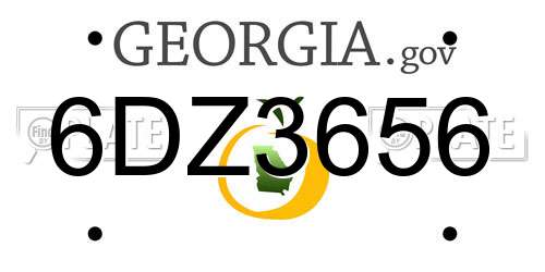 6DZ3656 Georgia License Plate