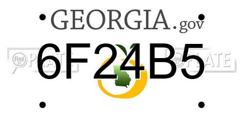 6F24B5 Georgia License Plate
