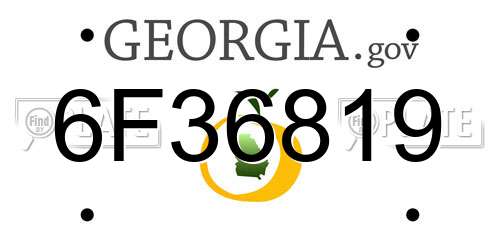 6F36819 Georgia License Plate