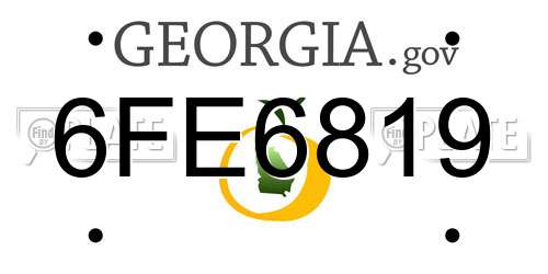 6FE6819 Georgia License Plate