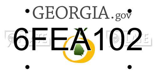6FEA102 Georgia License Plate