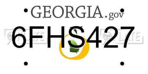 6FHS427 Georgia License Plate
