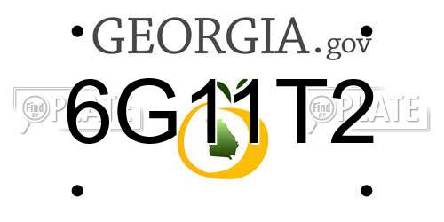 6G11T2 Georgia License Plate