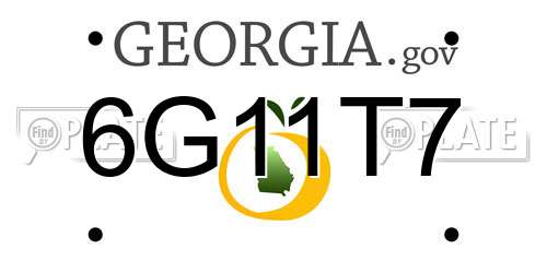 6G11T7 Georgia License Plate