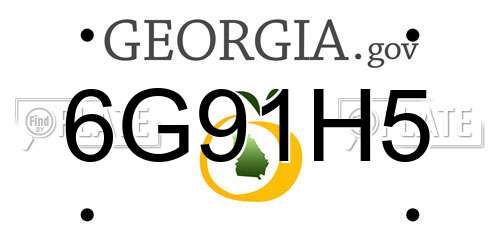 6G91H5 Georgia License Plate