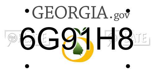 6G91H8 Georgia License Plate