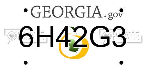 6H42G3 Georgia License Plate