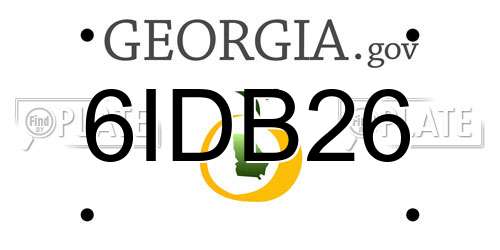 6IDB26 Georgia License Plate
