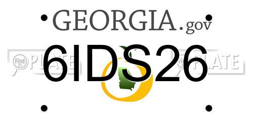 6IDS26 Georgia License Plate