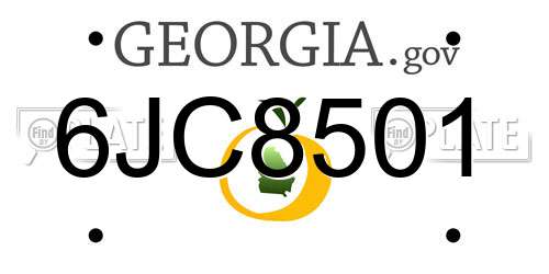 6JC8501 Georgia License Plate