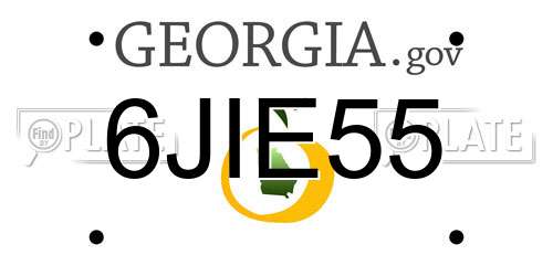 6JIE55 Georgia License Plate