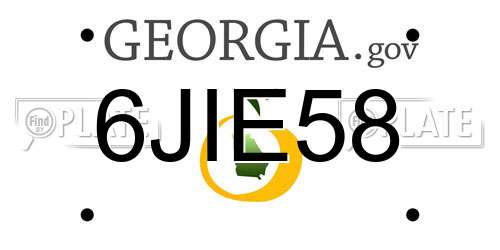 6JIE58 Georgia License Plate