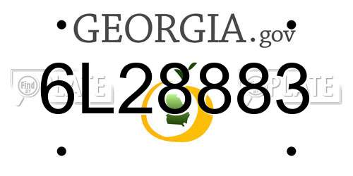 6L28883 Georgia License Plate