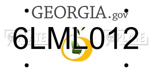 6LML012 Georgia License Plate