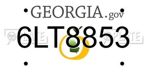 6LT8853 Georgia License Plate