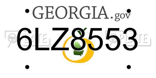 6LZ8553 Georgia License Plate