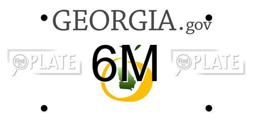 6M Georgia License Plate