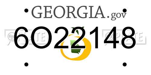6O22148 Georgia License Plate