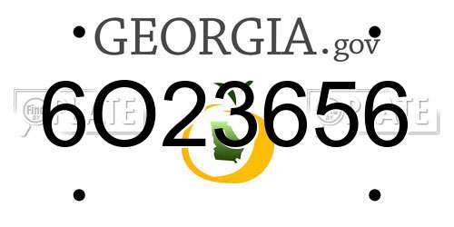 6O23656 Georgia License Plate