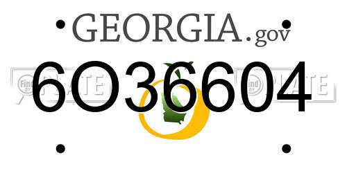 6O36604 Georgia License Plate
