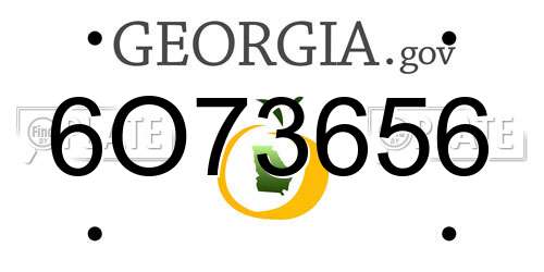 6O73656 Georgia License Plate