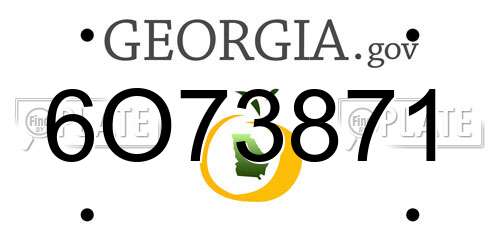 6O73871 Georgia License Plate