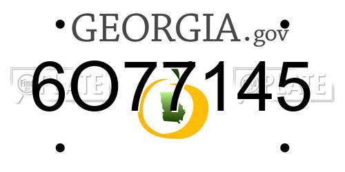 6O77145 Georgia License Plate