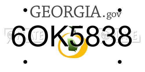 6OK5838 Georgia License Plate