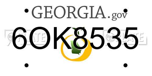 6OK8535 Georgia License Plate
