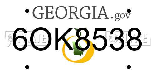 6OK8538 Georgia License Plate