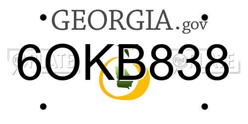 6OKB838 Georgia License Plate