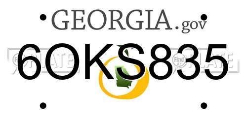 6OKS835 Georgia License Plate