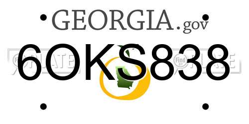 6OKS838 Georgia License Plate