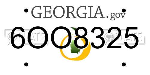 6OO8325 Georgia License Plate