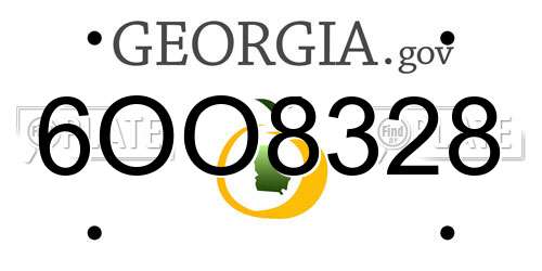 6OO8328 Georgia License Plate