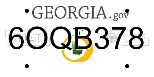 6OQB378 Georgia License Plate